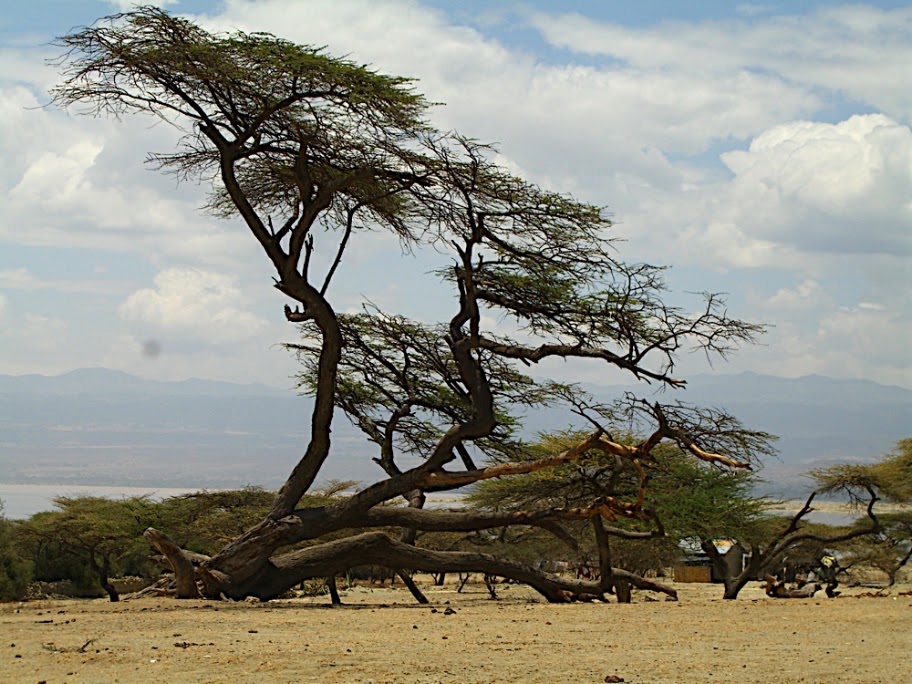 Ethiopia (ኢትዮጵያ)| Country Gallery | Page 15 | SkyscraperCity Forum