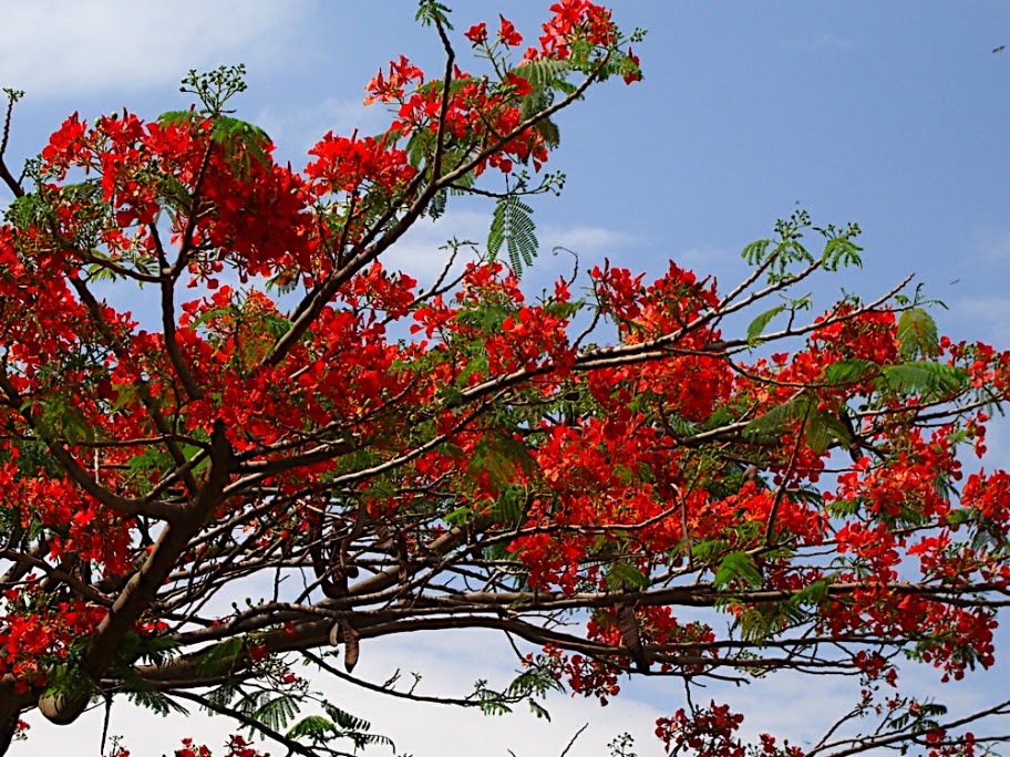 Ethiopia (ኢትዮጵያ)| Country Gallery | Page 15 | SkyscraperCity Forum