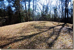 SE Mound 2