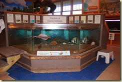 touch tank