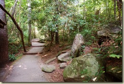 carrick creek trail