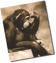 Thinker-chimp