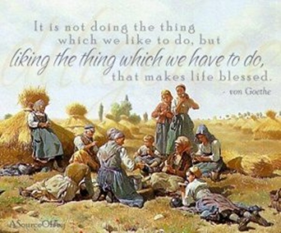 likingthething