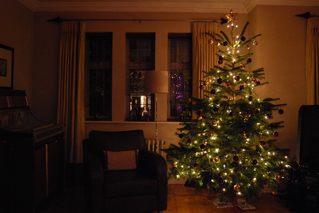 Christmas tree in evening