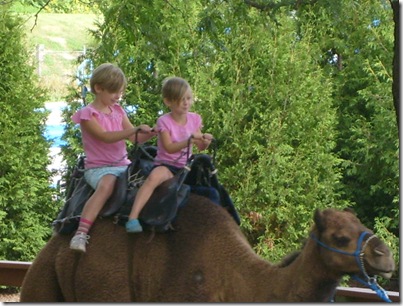 On-CamelRide