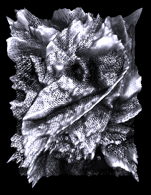 Fine Art Photography 3D Abstract Sterogram