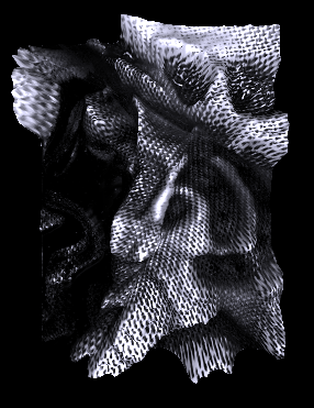 Fine Art Photography 3D Abstract Sterogram
