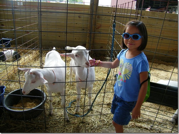 abby with goats