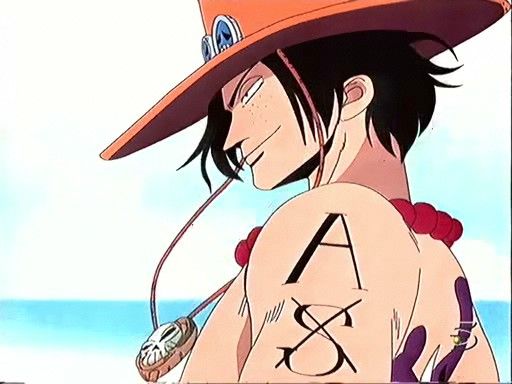 Portgas D Ace Rip T T One Piece