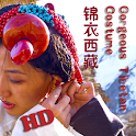 錦衣西藏 logo