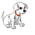 dalmata.png