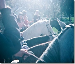MemoryTrailRidingWeb