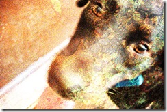 ChessieWaterColorWeb