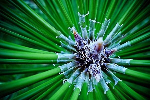 [NatureTextureWeb[2].jpg]