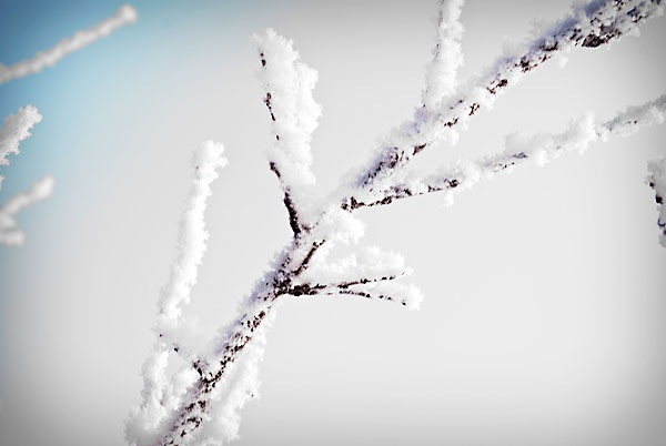 [PW2810FogFrost[2].jpg]