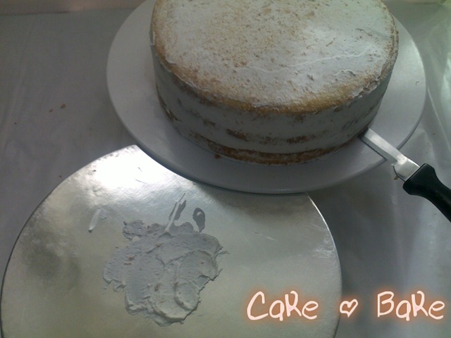 [29112010995[3].jpg]