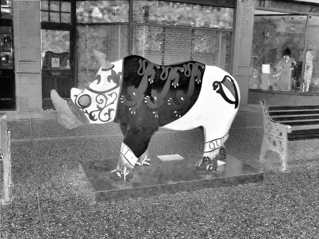 [black and white rhino[8].jpg]