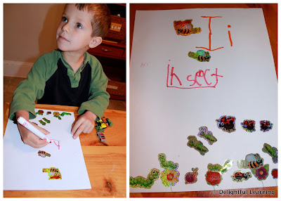I is for Insects - Delightful Learning