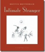 Intimate Stranger: A Writing Book