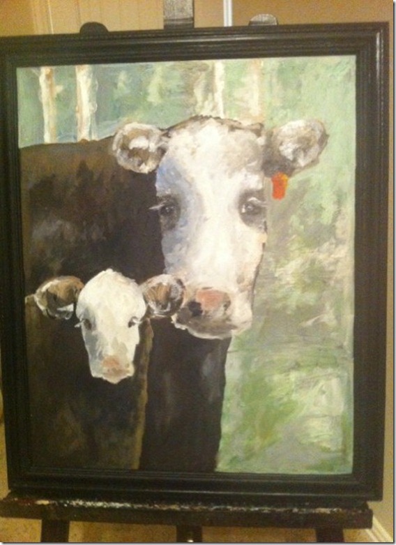 amanda calf and cow