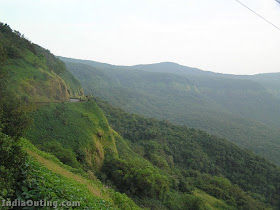 Amboli