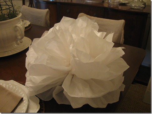 tissue paper poofs 002