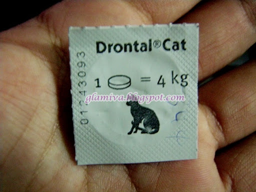 drontal cat worm medicine from Pinnacle Pet Supplies damai kota kinabalu