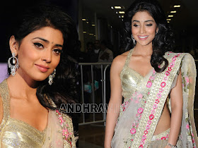 Shreya Hot Photoshoot  For South Scope Magazine