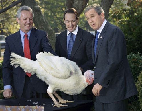 2001-A-turkey-named-Liber-010 2001-A-turkey-named-Liber-010