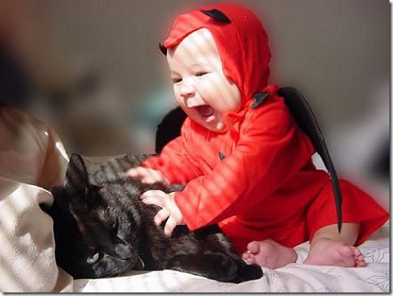 fotos de gatitos (40)