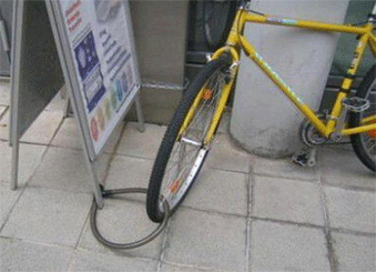 [antirrobos migallinero (1)[2].gif]