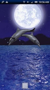 Download Dolphin Night Trial APK for Android