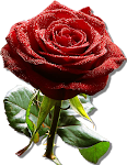 fleur1ESTILOPROPRIOART.png