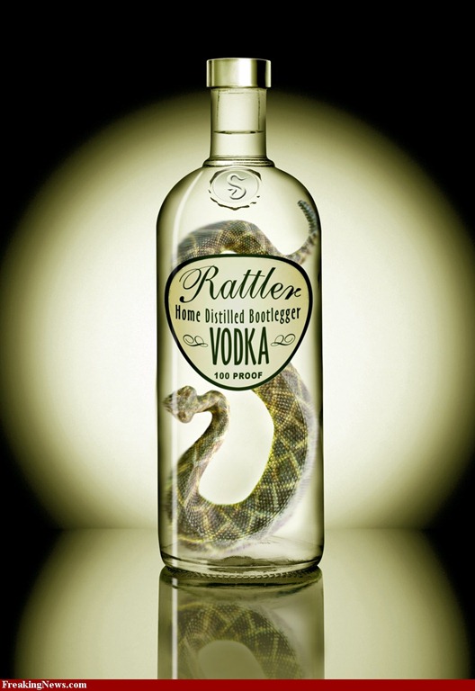 [Rattlesnake-Vodka-395414.jpg]