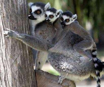 [clip_image023[4].jpg]