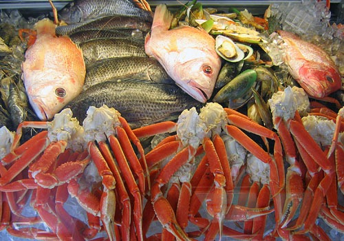 [el_barco_mariscos_fresh_seafood[4].jpg]