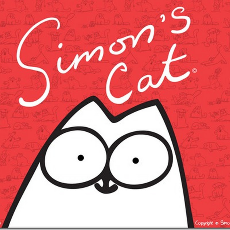 Саймон Тофилд: "Мой график составляют коты..."