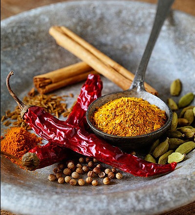 [pic.439452.4.400x492[4].jpg]