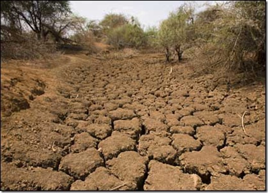 1284362618_drought