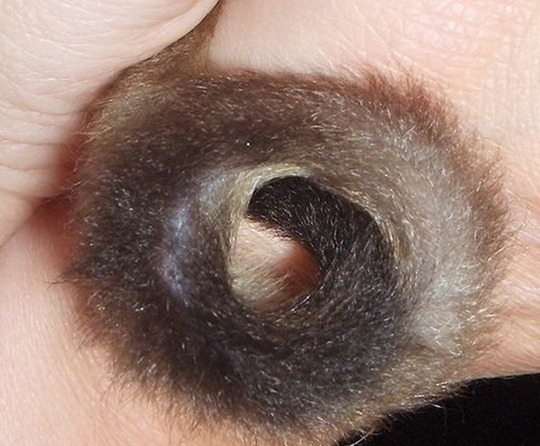 [clip_image009[4].jpg]