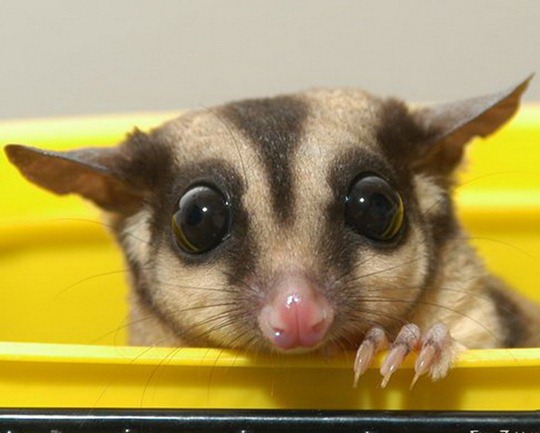 [clip_image028[4].jpg]