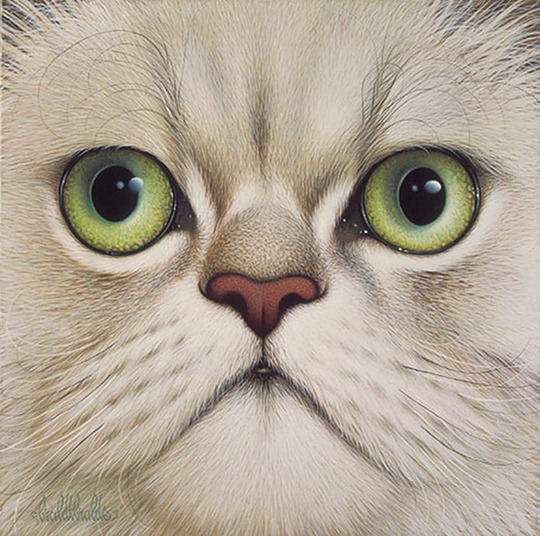 [clip_image015[4].jpg]