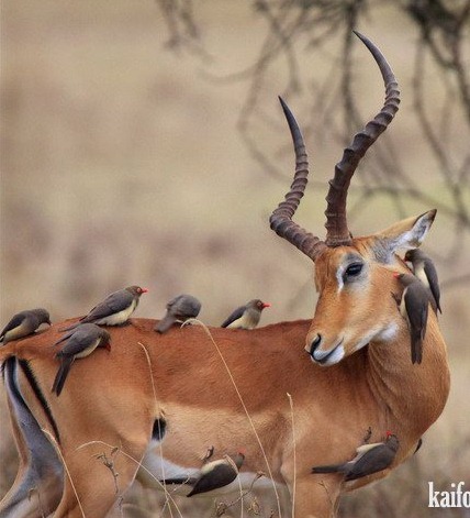 [clip_image031[5].jpg]