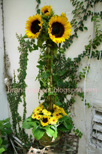 Photo detail Outdoor shot of sunflower topiary with natural lighting 