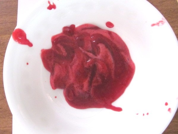 [Jellied cranberry sauce foam[3].jpg]