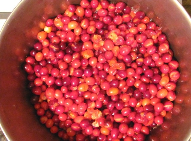 [Jellied cranberry sauce cooking skins popping1[3].jpg]