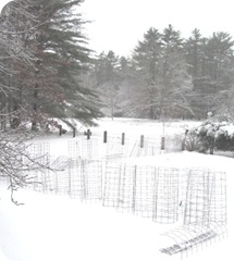 2010 snowstorm 3