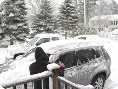 2010 snowstorm7