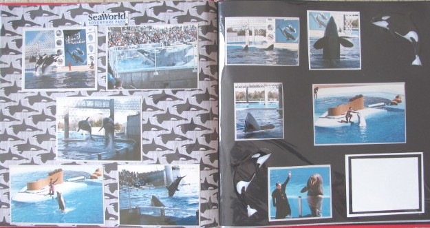 [1986 Florida Seaworld double page spread[4].jpg]