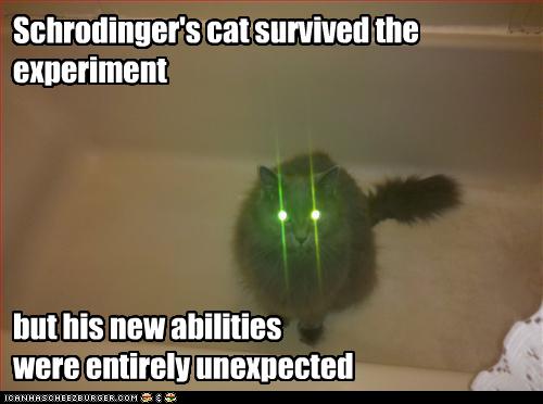 photo of a cat with laser eyes
